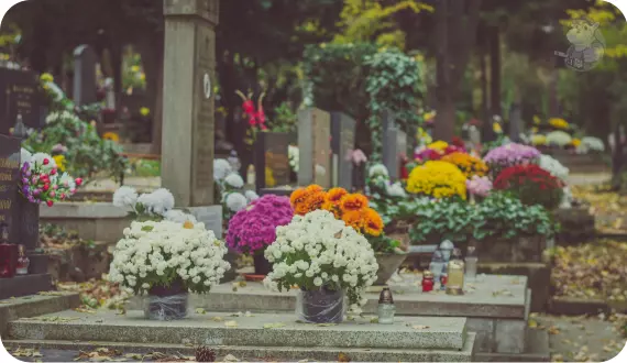 żywe kwiaty i znicze na nagrobkach na cmentarzu
